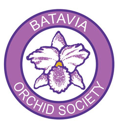 Batavia Orchid Society